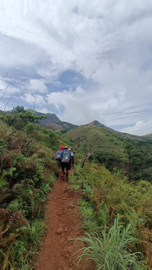 Trekkers exploring the Western Ghats landscape at Kudremukh Peak