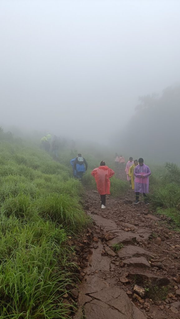 Scenic hills and forests along the Banadeje Trek route