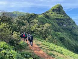 Beautiful panoramic valley views from Kurinjal Peak