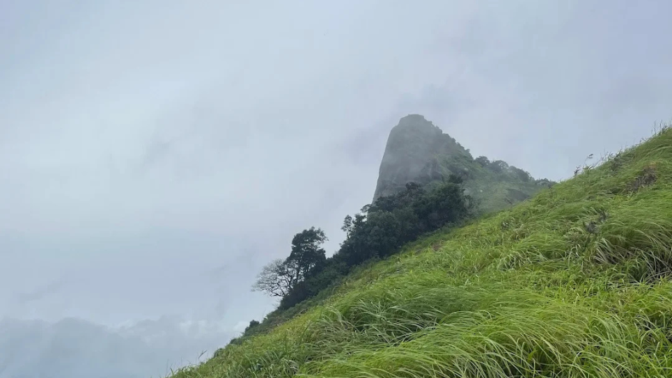 Kurinjal Trek Guide | Hidden Gem Trek in Chikmagalur