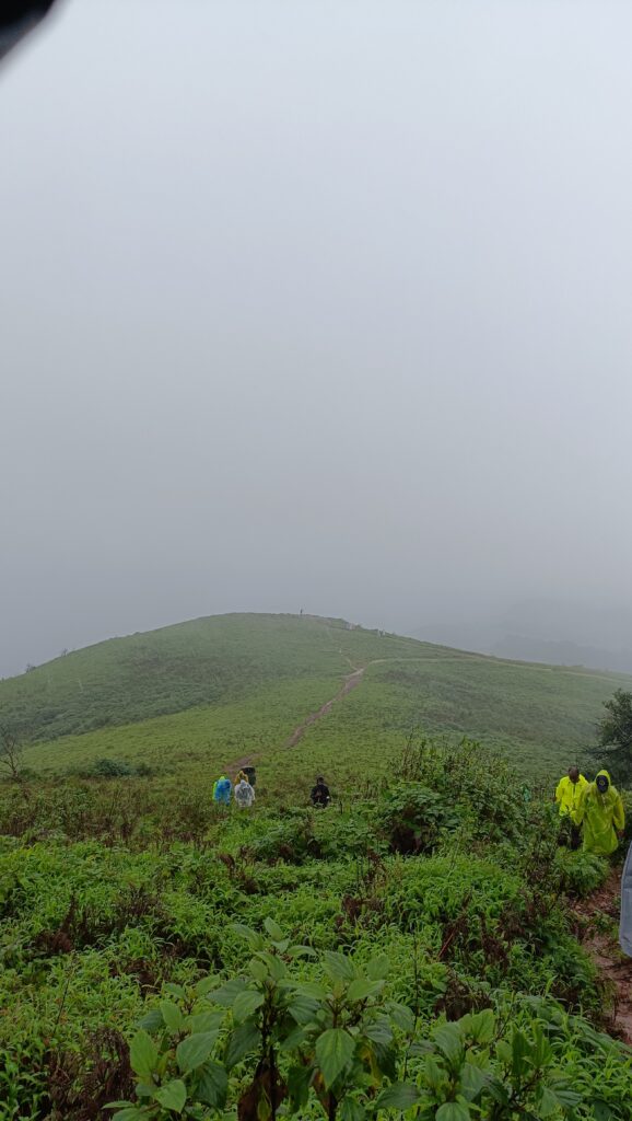 Dense forest trail during the Gangadikal Trek in the Western Ghats