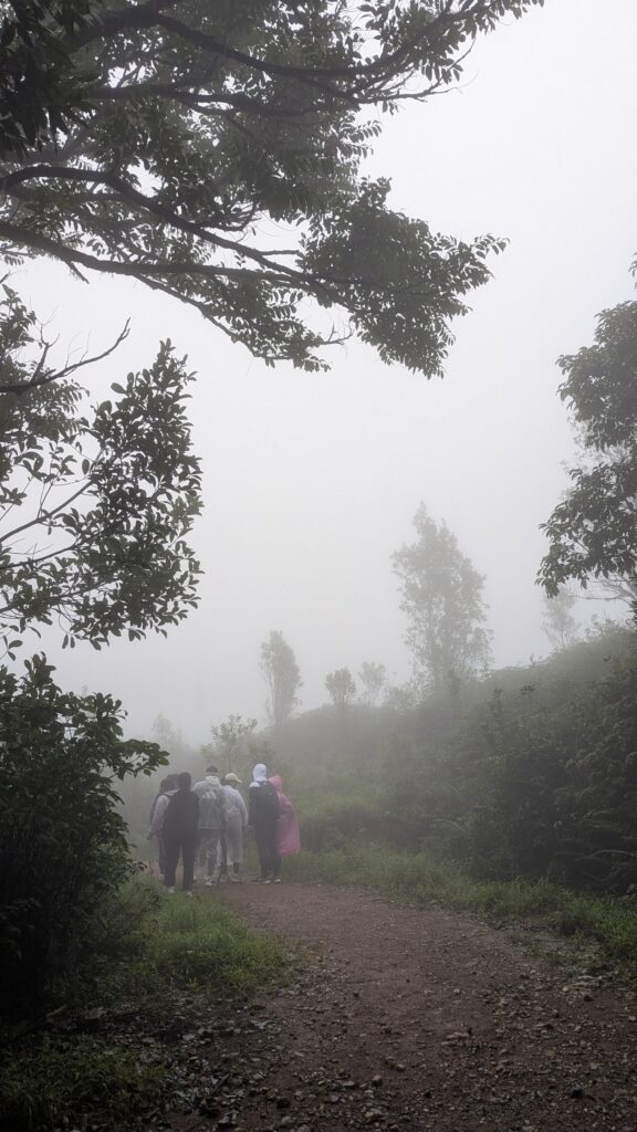 Trekkers exploring the scenic Gangadikal Peak trail near Kudremukh