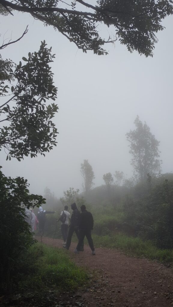 Rolling green landscapes along the Gangadikal trekking route