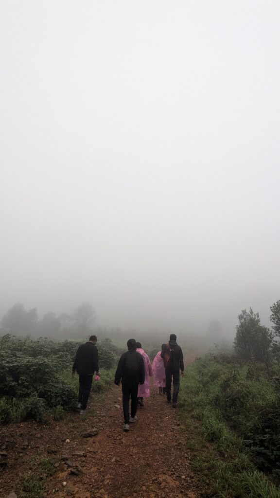 Trekker hiking through lush grasslands on the Gangadikal Trek