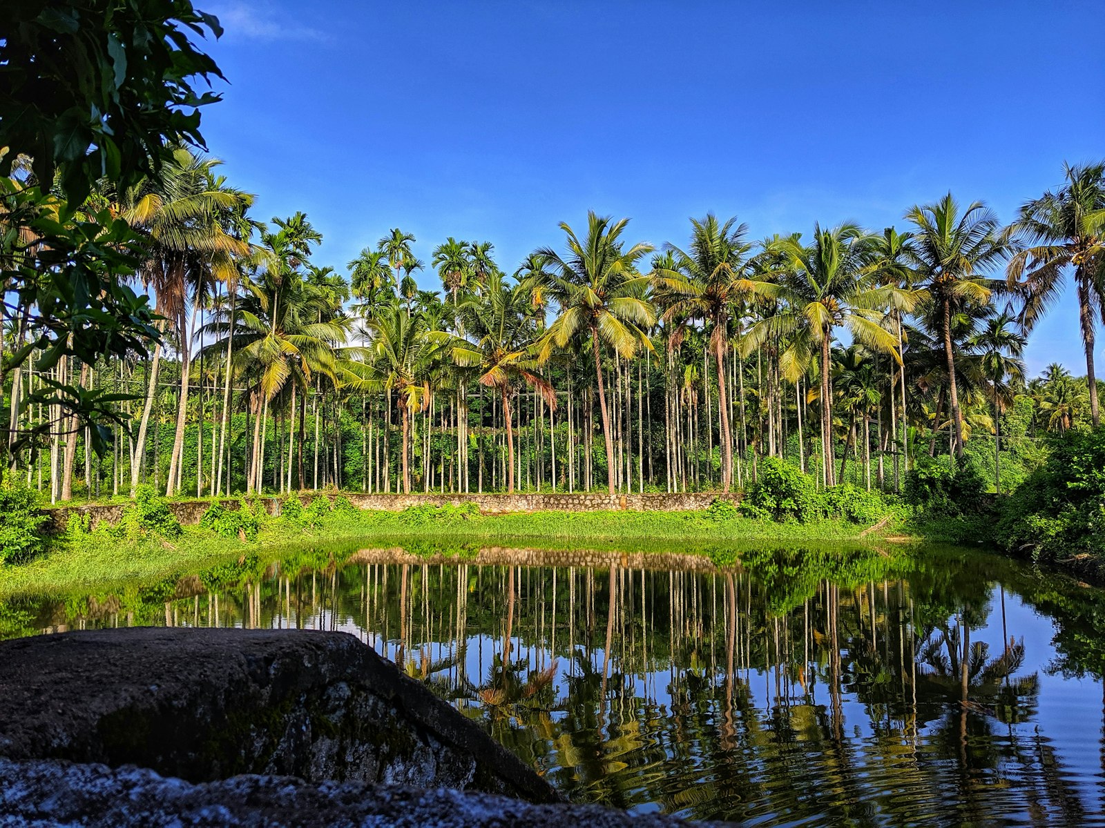Kannur Weekend Getaway - Easy trek in Kannur, Kerala