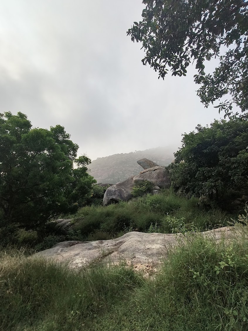 Anthargange Day Trek with Cave Exploration