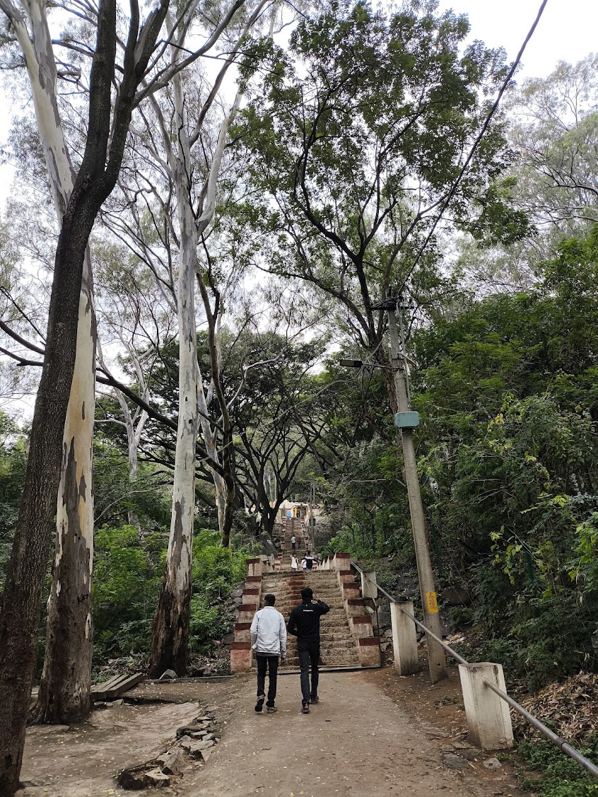 Anthargange Day Trek with Cave Exploration 1