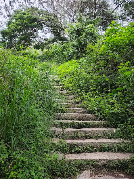 Nandi Hills Sunrise Trek 2