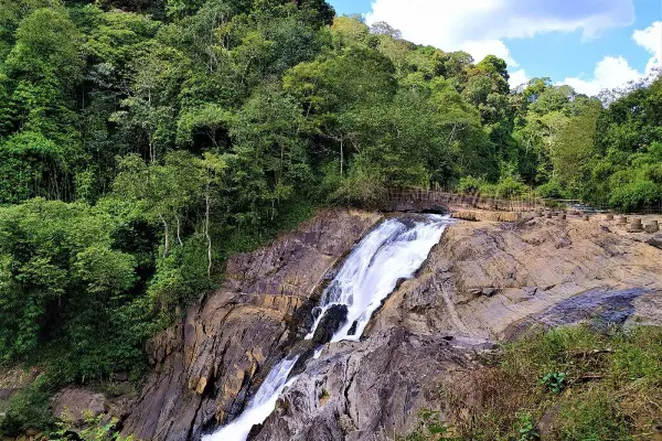 Wayanad Backpacking Trip 5