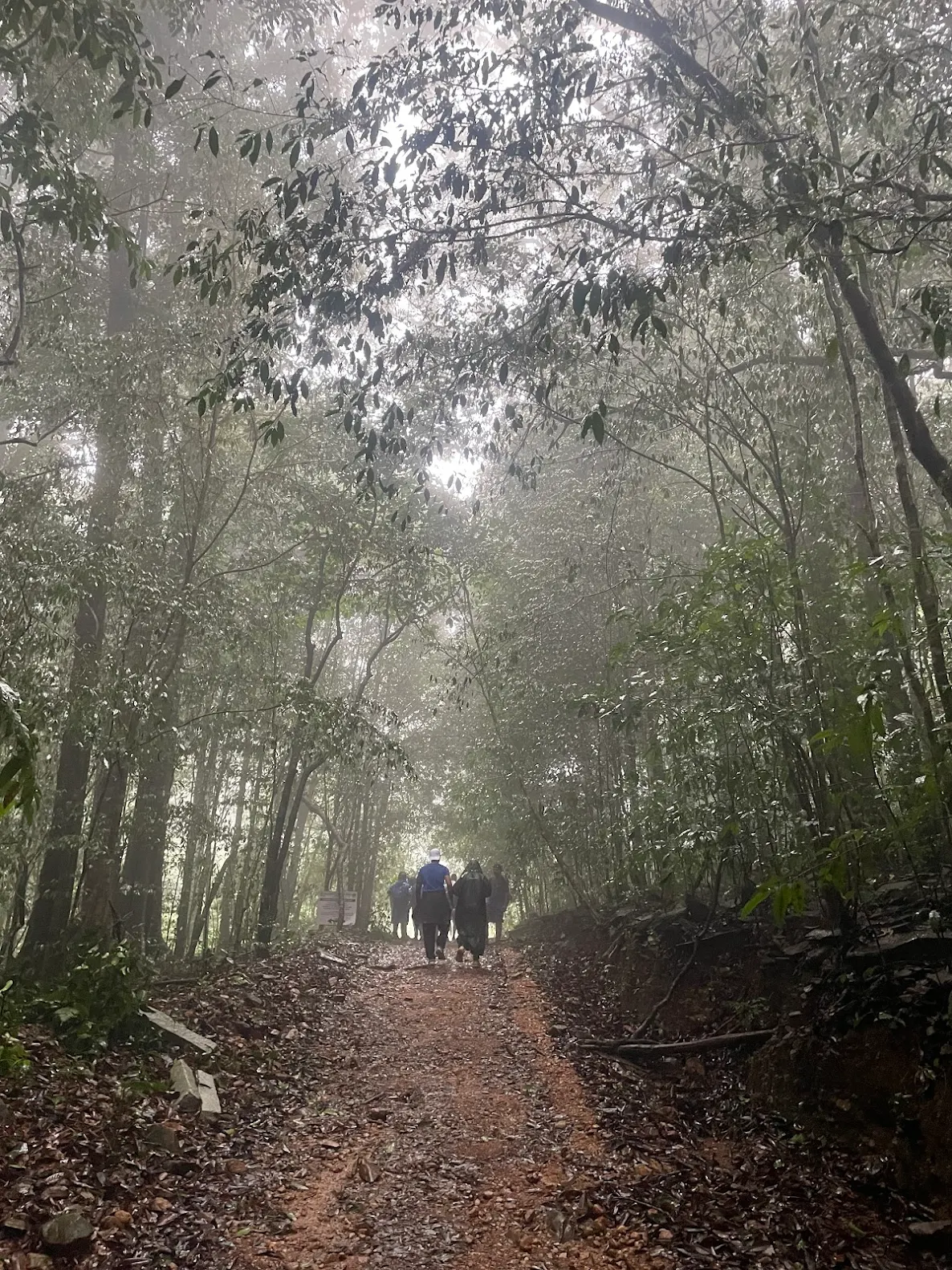 Kurinjal Trek 1